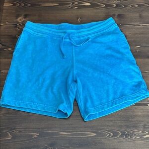 Chubbies Ocean Blue Casual Shorts